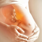 Despite Having No Clinics, North Dakota Bans a Major Majority of Abortions zffoto / shutterstock.com