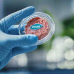 Gorodenkoff / shutterstock.com