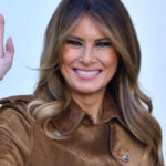 Evan El-Amin / shutterstock.com